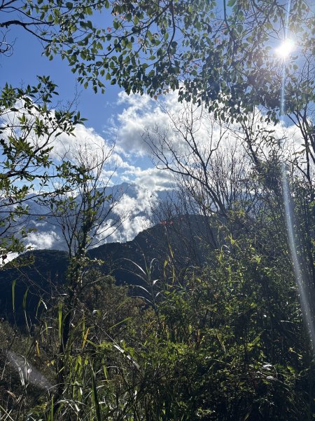 20251225塔山步道(大塔山)2970352