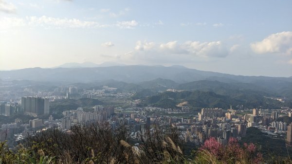 汐止大尖山 天秀宮停車場起登2056834