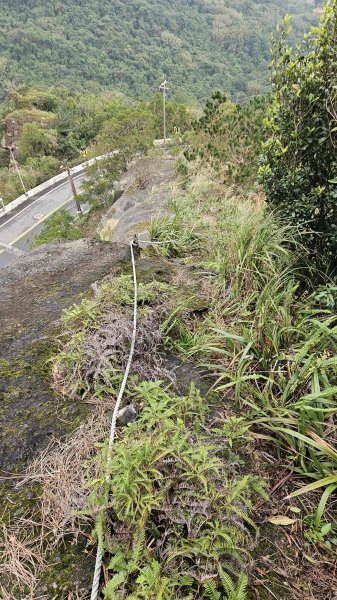 20260203石頭厝山-如意湖-彩虹橋稜線2996798