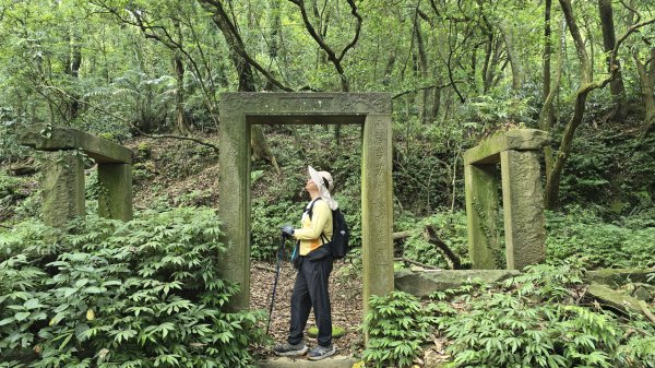 陽明山秘境，涼爽水圳步道，鹿堀坪古道，富士坪古道，夏日戲水與溯溪天堂，首選鹿堀坪（頭前溪）瀑布。2796256