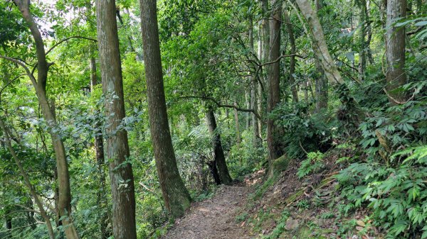 福山部落,內洞森遊區2552446