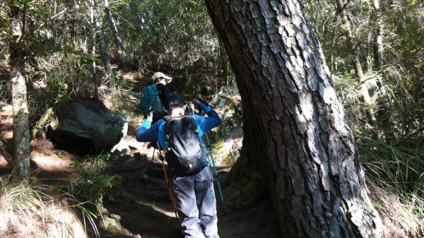 池有山單攻登山健行趣(百岳52)1515170