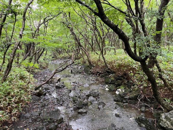 1140811 KR 漢拏山杜鵑花田避難所-紗羅岳觀景臺2860097
