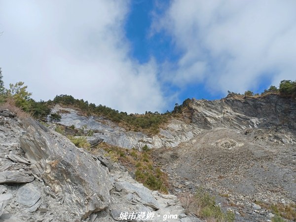 【高雄桃源】朝聖壯闊山景之南橫三星。 編號77百岳~關山嶺山2089027