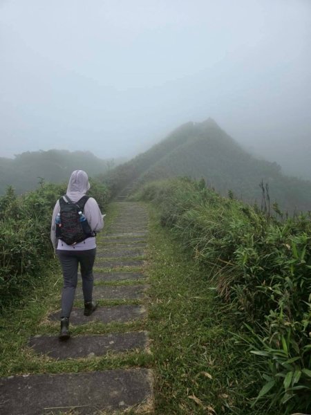 貢大縱走（新北貢寮-宜蘭大溪）2890331