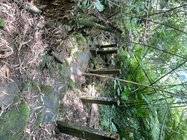 微笑山⛰️線-大棟-二格山-五分山-天上山-鳶山💎12條步道完成💙2837217