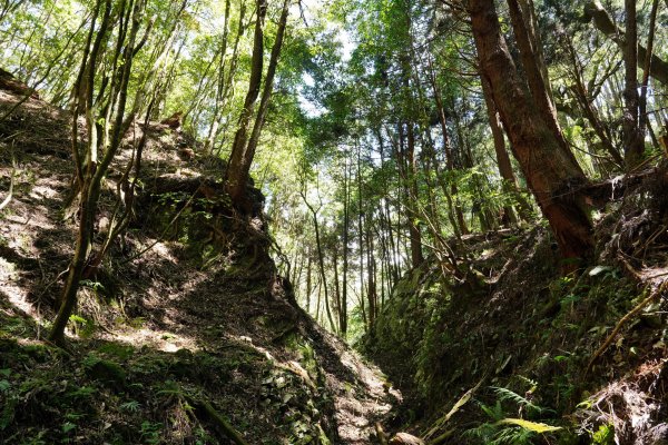 台中 和平 馬崙山2796970