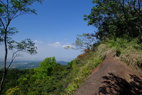 白石埤、白石山295411