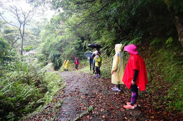 淡蘭古道中路O型988506