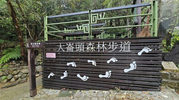 大崙頭尾山2872663