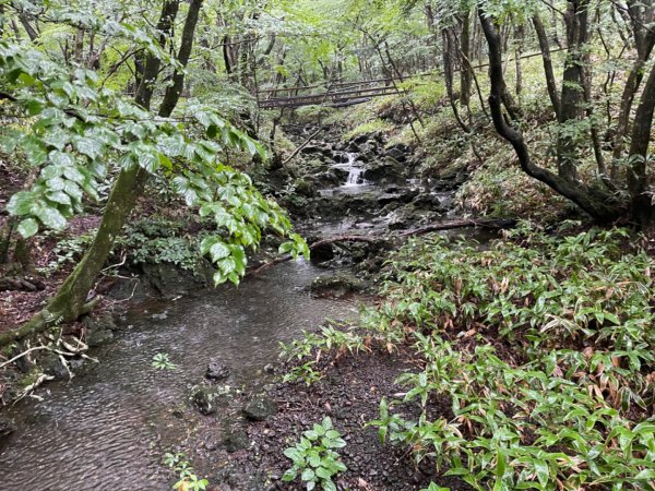 1140811 KR 漢拏山杜鵑花田避難所-紗羅岳觀景臺2860096