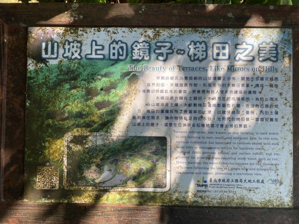 《探訪內雙溪三圳流向｜大崎頭步道 × 鵝尾山》2877192
