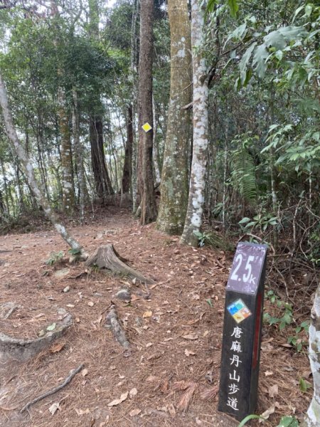 唐麻丹山3059721
