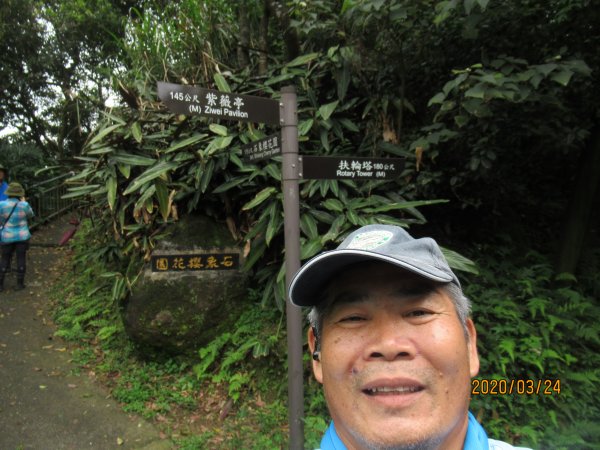 紅淡山步道907485