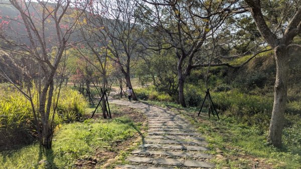 竹坑南寮登山步道2719369
