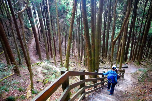 樂山舊鐵道順撿鹿坑山1320437