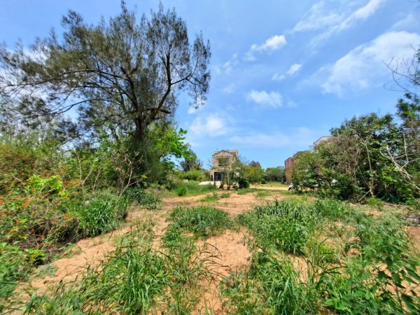 金門：后盤山金中師事件、蔡厝古道太武山2487820