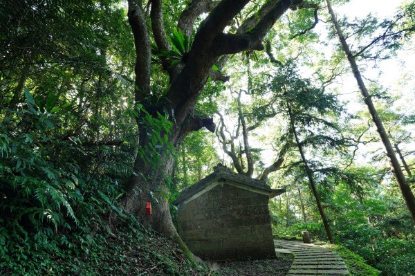 苗栗 南庄 神桌山、大屋坑山、細湖頂山、象山2533557