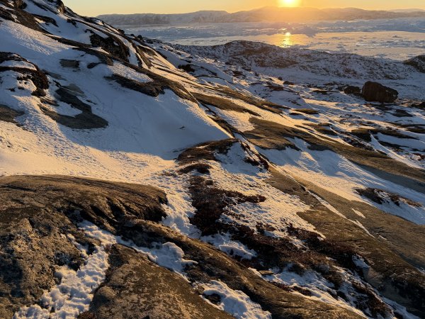 [紐約馬之行-42] 2025_1107 黃線步道-後2950721