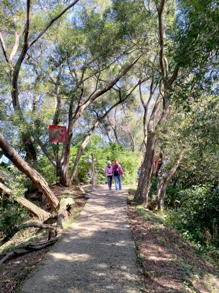 五酒桶山步道759873