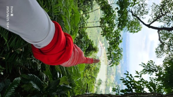 大溪大九芎步道上小百岳溪洲山(H577m)2844311