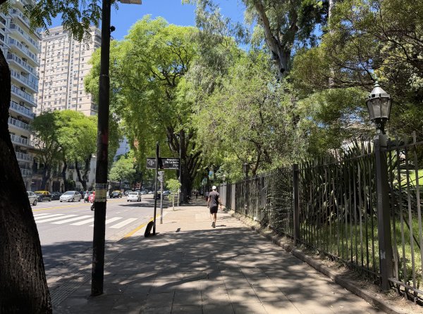 [紐約馬之行-59] 2025_1114 卡洛斯·泰斯植物園-上2953893