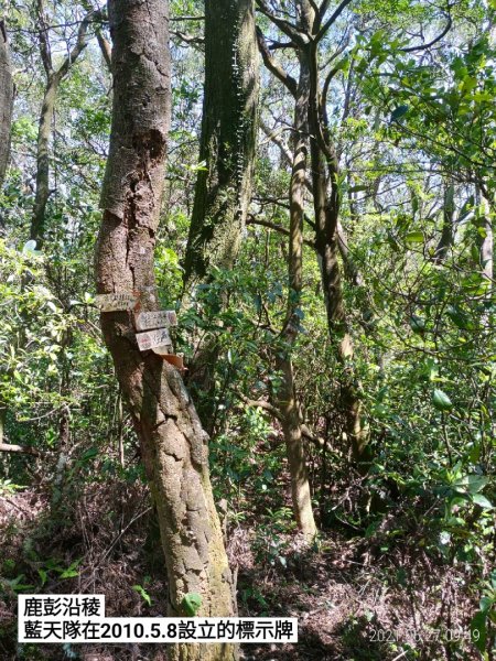 [新竹芎林]鹿寮坑山~彭厝窩...鹿彭沿稜(淨山5)1420063