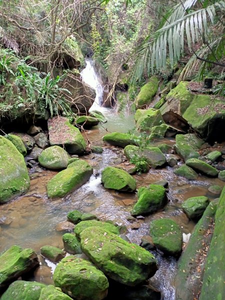 【大內連峰】大湖公園→內溝溪生態步道1727855