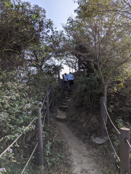 【高雄-小百岳】觀音山_稜線連峰O型縱走796559