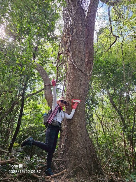 20251222竹東三山步道O型連走(樹杞林山、新具庄山、員崠子山)2975768