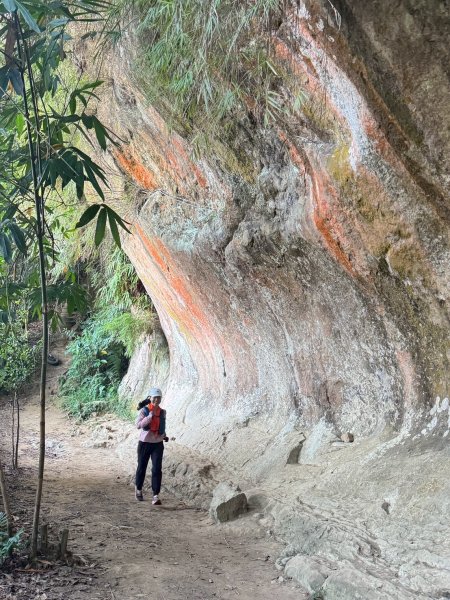 20250913_三峽鳶山爬山趣2882803