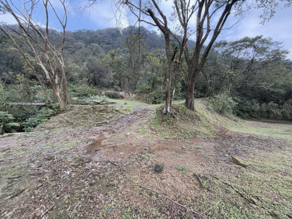 2025/02/17 姜子寮絕壁瀑布 姜子寮山2908693