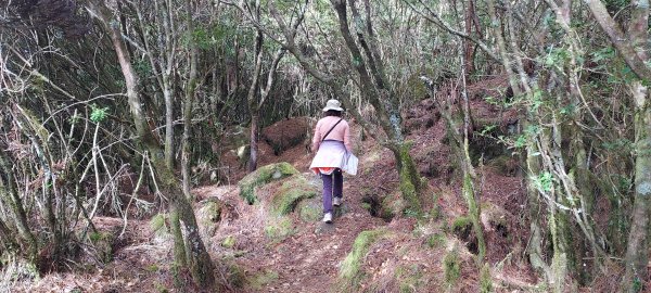 20250114東埔山；20250115二延平步道2693807