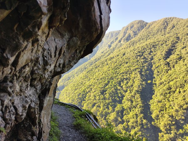 [玉山尋寶任務-07/12] 2025_0824 八通關雲龍瀑布步道2870583
