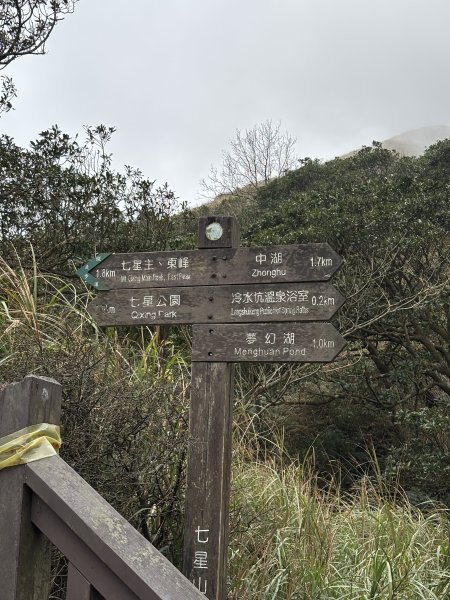 陽明山東西大縱走-東段2984551