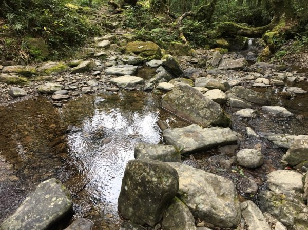 雨神山友：終於中籤的北插天山539956