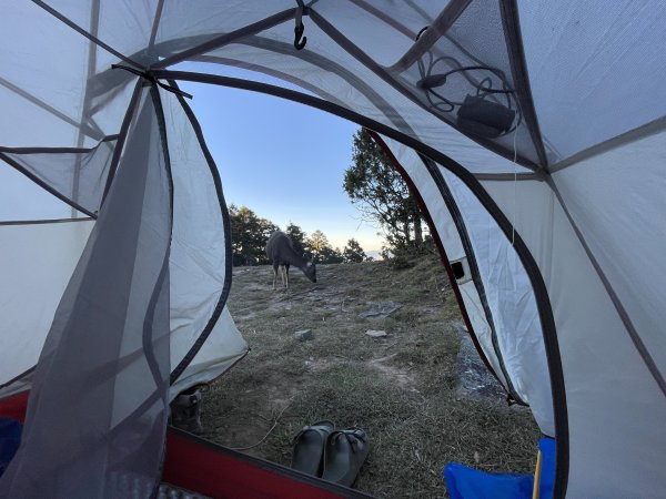 干卓萬橫斷 2024 11/29 四天三夜2865576