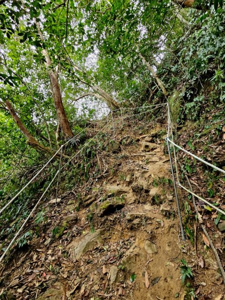 馬胎古道、馬胎二期古道、南坪古道2986009