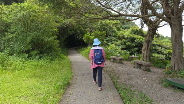 (姨婆趴趴走)第五十五集:攀登健走台北大崙頭尾山親山步道環狀一圈2853775