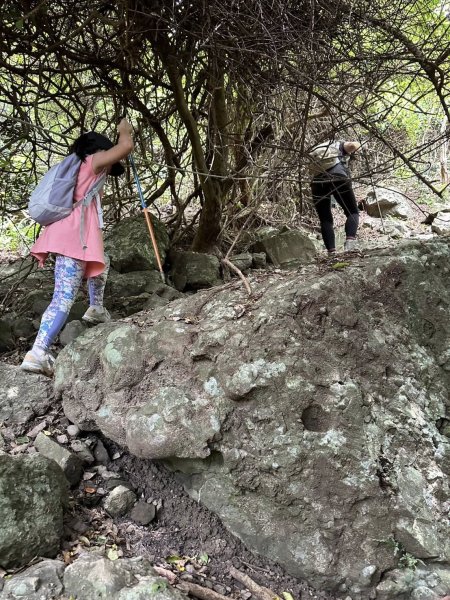 20250811小百岳大山母山2858848