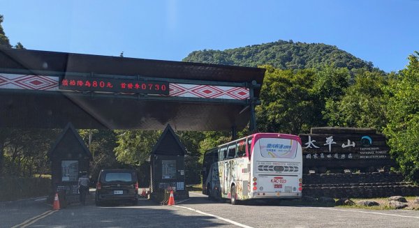 山毛櫸步道,望洋山步道2587841