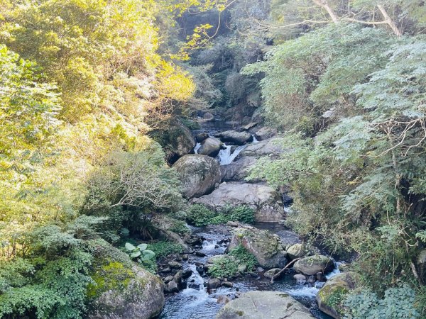 1141117小錦屏步道2946830