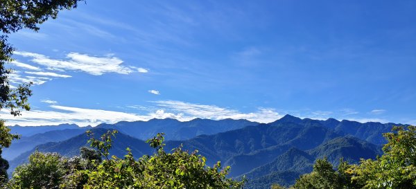 2025/06/15_盡尾山步道2812723