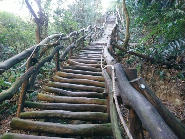 大坑步道全包一起登( 2 3維修)747622