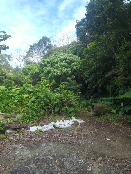 2026.01.25－微笑山線：【天上山系】烘爐地土地公段2994588