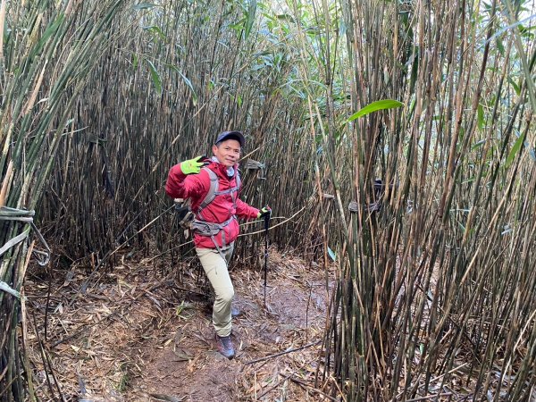 小觀音山群峰【當登山遇到惰性來襲時…】2686399