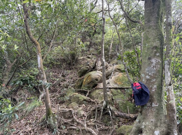 [微笑山線_第四段] 2026_0321 天上山系_十八羅漢岩3022127