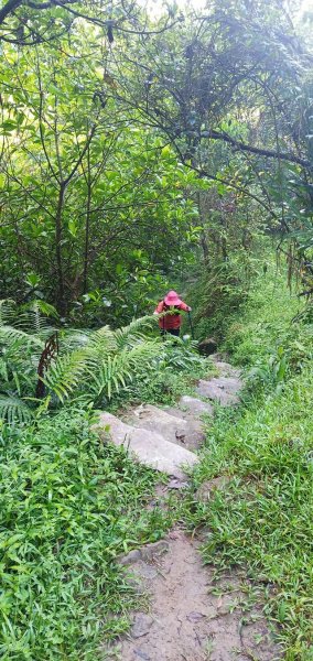 109.07.11淡蘭中路古道-崩山坑1031351