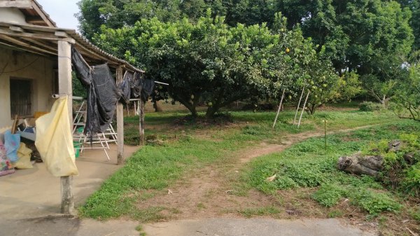 嘉義 番路 頂坑山1487587