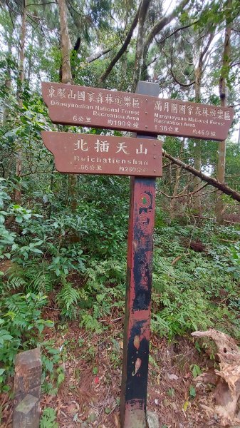 111/03/12東滿步道(東眼山進、滿月圓出)1643970